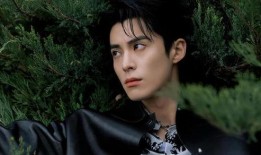 王鹤棣大瓜最新爆料,娱乐圈新风暴来袭